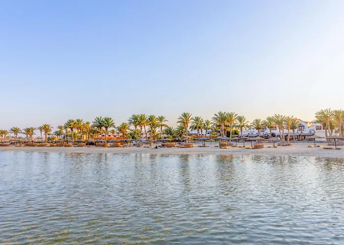 Protels Club & Marsa Alam